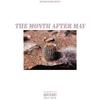 Spliff to This(feat. Lord Apex) (Explicit) - bc.einstein&Lord Apex