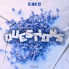 Questions - Erko