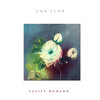 Una Flor (Radio Edit) - Felipe Romero&Davide Schipani