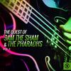 If You Try to Take My Baby - Sam the Sham & the Pharaohs