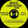 If You Want It (Massivan) - Submantra&DJ Umbi