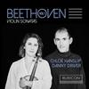 III. Allegretto con Variazioni - Chloe Hanslip&Danny Driver