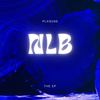 this is 4 you (voice memo) - Plxg1ns