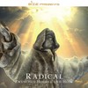 Es nervt (Explicit) - Radical&Luut&tüütli