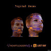 Digital Twins - Heartleader&Lost Ray