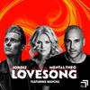 Love Song - Maycke&Mental Theo&Jordiz