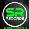 Dont Stop - Pollentails