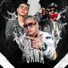 Alta Gama - Ariel El Pana&Perro Primo&Yubeili&Ariel Victor Pana