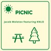 Picnic(feat. KNLO) (Explicit) - Jacob Molotov&KNLO