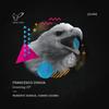 Grooving (Roberto Surace Remix) - Francesco Dinoia