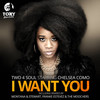 I Want You (Franke Estevez Fuzion Beat-Apella) - Chelsea Como&Two 4 Soul&Franke Estevez