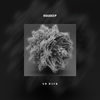 Go Back - Roudeep