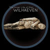 Different Situations (Original Mix) - Wilhaeven
