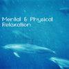 Infinite Revelations - The Magical Corner