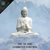 Incubator - Cognitive Control