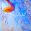 Goodbye (Original Mix) - Earthenware