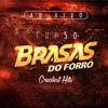 O Gemidinho (Ao Vivo) - Brasas do Forró
