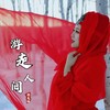 游走人间（美琳版） - 蓝小龙&徐美琳