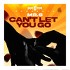 Can't Let You Go - Mr. S