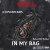In My Bag(feat. 3-80NDABUILDN & SOUR D ON THE BEAT) (Explicit) - Tribe&KaKea B&3-80ndabuildn&SOUR D ON THE BEAT