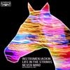 Never Mind (Instrumental Mix) - Instrumenjackin&Life in the Strings
