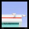 Gizmo - Evix