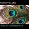 It's A Wonderful (Original Mix) - Sonius