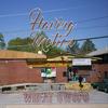 Having Motion (Explicit) - Wheat Gwopo