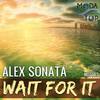 Wait For It (Original Mix) - Alex Sonata