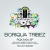 Roxana (Veztax Remix) - Boriqua Tribez