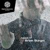 Next Level (Original Mix) - Brian Burger
