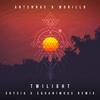 Twilight(feat. Skysia & Equanimous) (Skysia & Equanimous Remix) - An-ten-nae&Morillo&Skysia&Equanimous