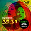 Pum Pum Technician (Da Mike Remix|Explicit) - Sabo&megablast&Steffy Biz