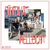 Vielleicht (feat. Tryptamin, Bobby K, MKBR & Flaite) (Explicit) - Sündikat&Tryptamin&Bobby K&MkBr&Flaite