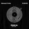 Paka (D.M.G Remix|Explicit) - RoozyTrills&D.M.G