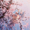 「舞い落ちる花びら（Fallin’ Flower）」SEVENTEEN (翻奏: Healing Wave) (其他) - 現実芸術者