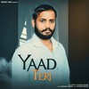 Yaad Teri - DSC&Pawan Swami