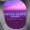 Gotta Leave (Alex Cortes Remix) - Alex Cortes&JORDY&TOFU&Herrin