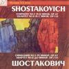 Symphony No. 5 In D Minor Op 47: Largo - St. Petersburg Academic Symphony Orchestra&Alexander