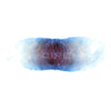 Tryptamind - Cire