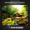 Mysterious Forest (Stream Noize Remix) - Dawid Jurzyk&Stream Noize