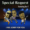 I Feel Sorry for You - Special Request&Rey T.