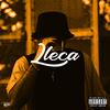 LLECA (Explicit) - Stone 809