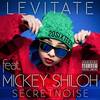 Levitate (Original Mix) - Secretnoise&Mickey Shiloh