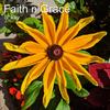 Faith N Grace - S Kay&Tony's Dynasty Record