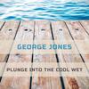 Wings Of A Dove - George Jones