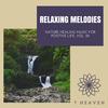 The Wellness Suite (Original Mix) - Relax & Rejoice