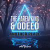 Another Place (Original Mix) - The Harem King&Odeed