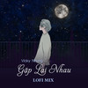 Gặp Lại Nhau (Lofi Mix) - Vicky Nhung