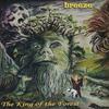 In the Land of My Illusion (Overture) - Breeze